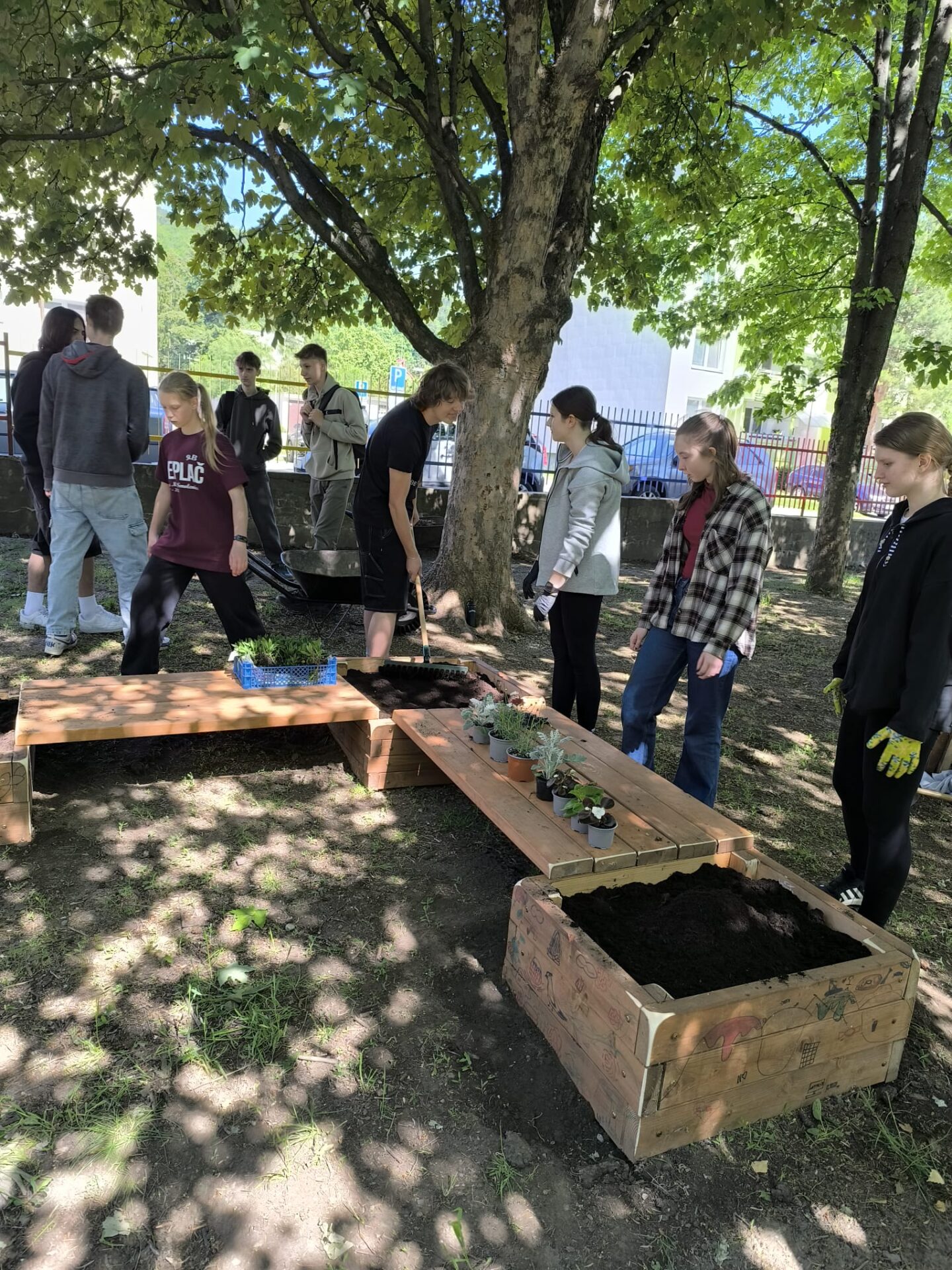 Dobrovoľníctvo ako súčasť vyučovania? Dobrovoľnícke centrum otvára ďalší ročník programu Service Learning